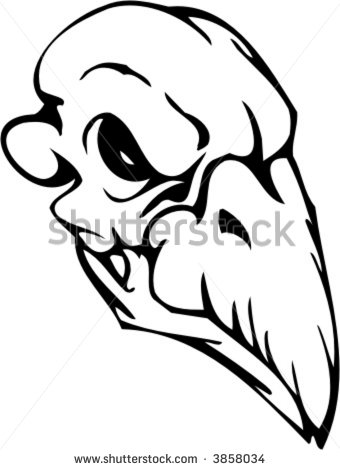 Bird Skull Vector
