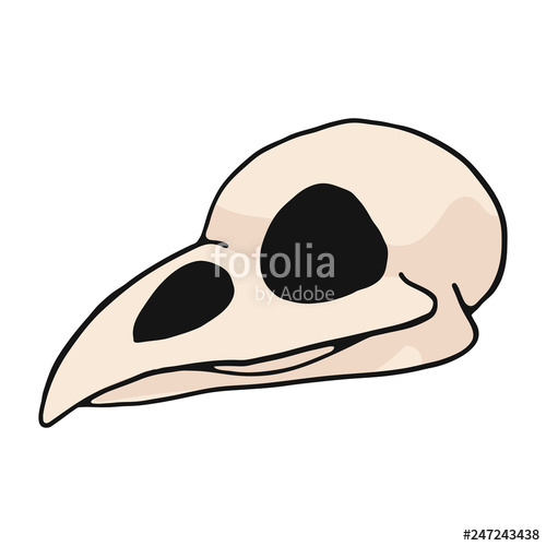 500x500 Bird Skull Cartoon Vector Illustration Motif Set Hand Drawn