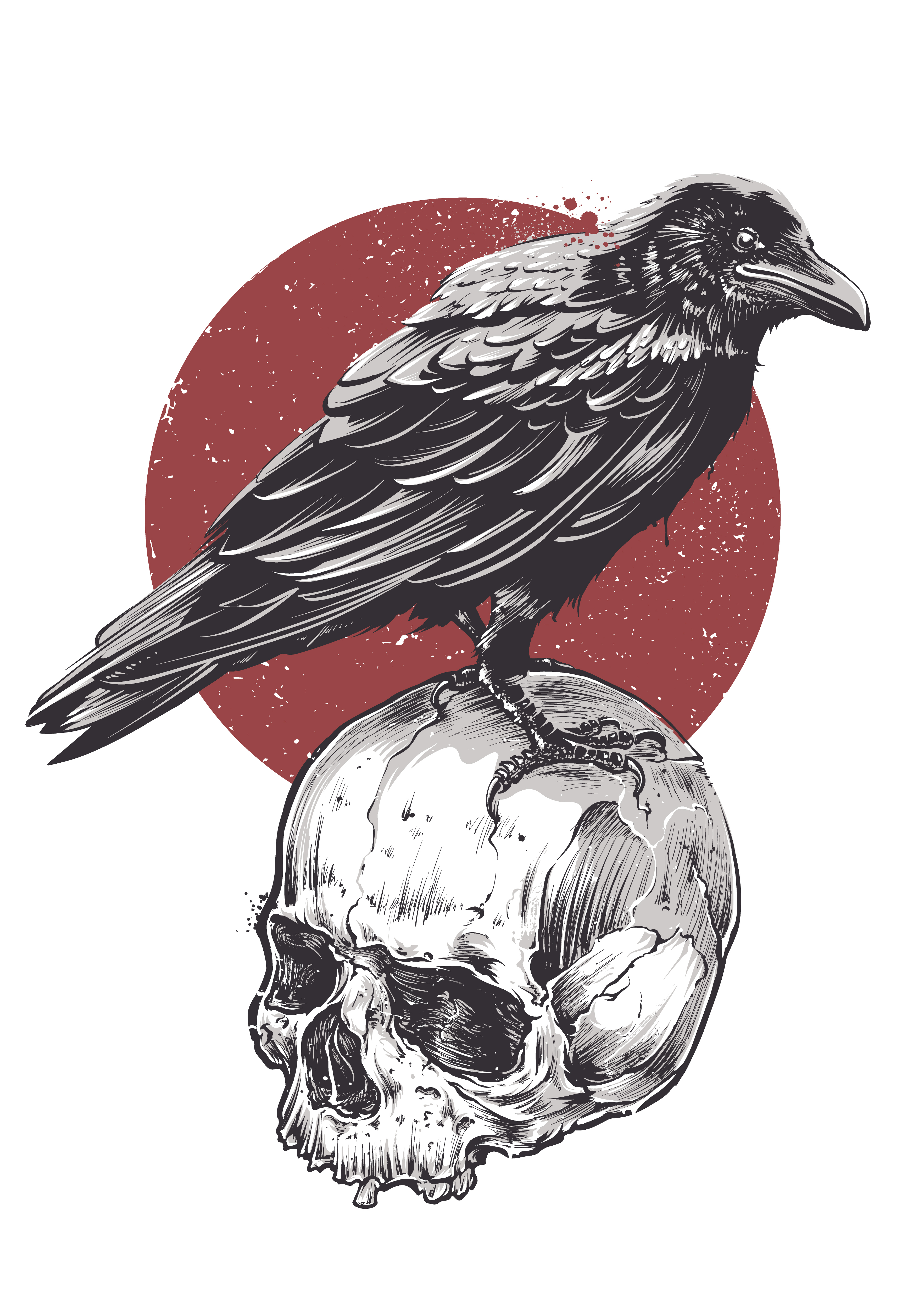 Bird Skull Vector at Vectorified.com | Collection of Bird Skull Vector ...