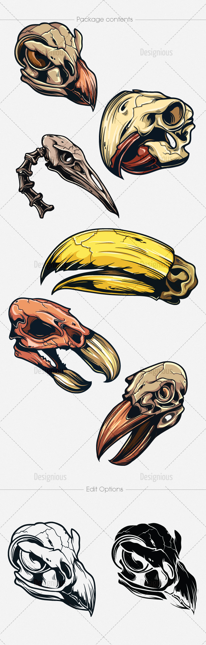 660x2066 Skulls Vector Pack Vectors Skull, Bird Skull, How To Draw Hands