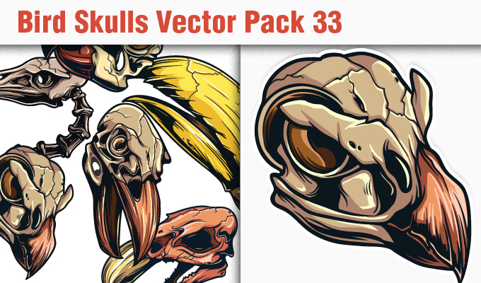 680x400 Skulls Vector Pack