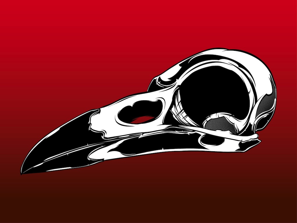 1024x768 Bird Skull Vector Vector Art Graphics