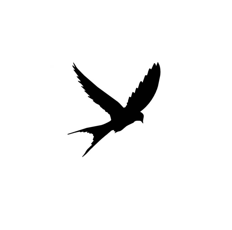 Bird Vector Graphic Instant Download For Cricut Etsy 794x789 Bird Vector Graphic Instant Download For Cricut Etsy