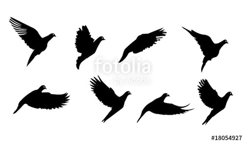 Flying Bird Vector Silhouettes Illustration Stock Image 500x293 Flying Bird Vector Silhouettes Illustration Stock Image