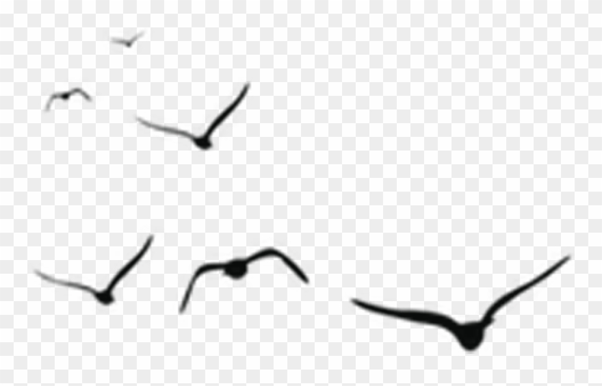 Free Online Crane Bird Animals Birds Vector For Design 880x564 Free Online Crane Bird Animals Birds Vector For Design