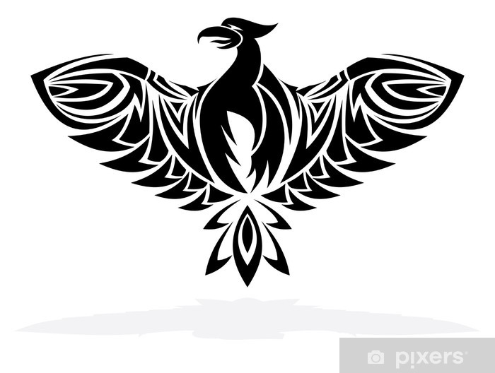 Phoenix Bird 700x528 Phoenix Bird