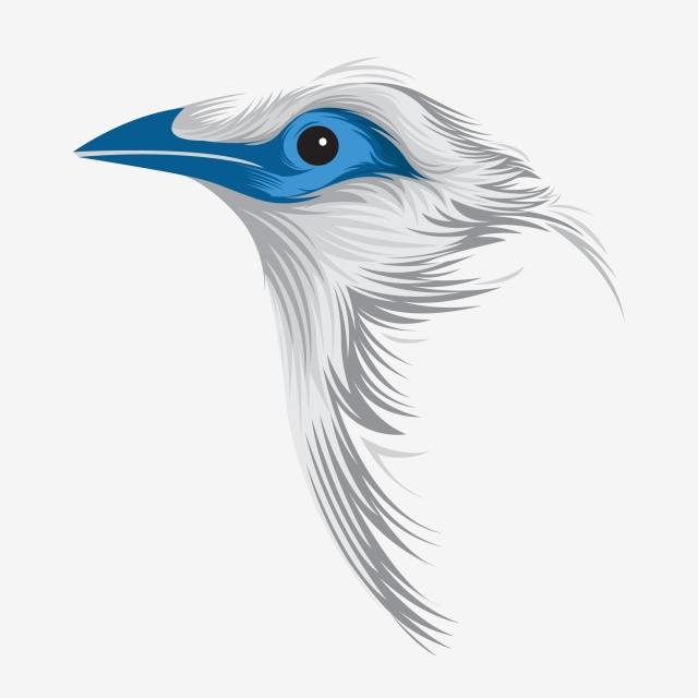 Bird Vector, Animal, Animal Vector, Bird Png And Vector 640x640 Bird Vector, Animal, Animal Vector, Bird Png And Vector