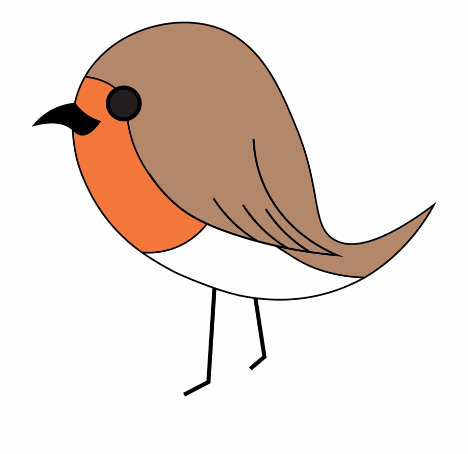 Robin Bird Vector 920x891 Robin Bird Vector