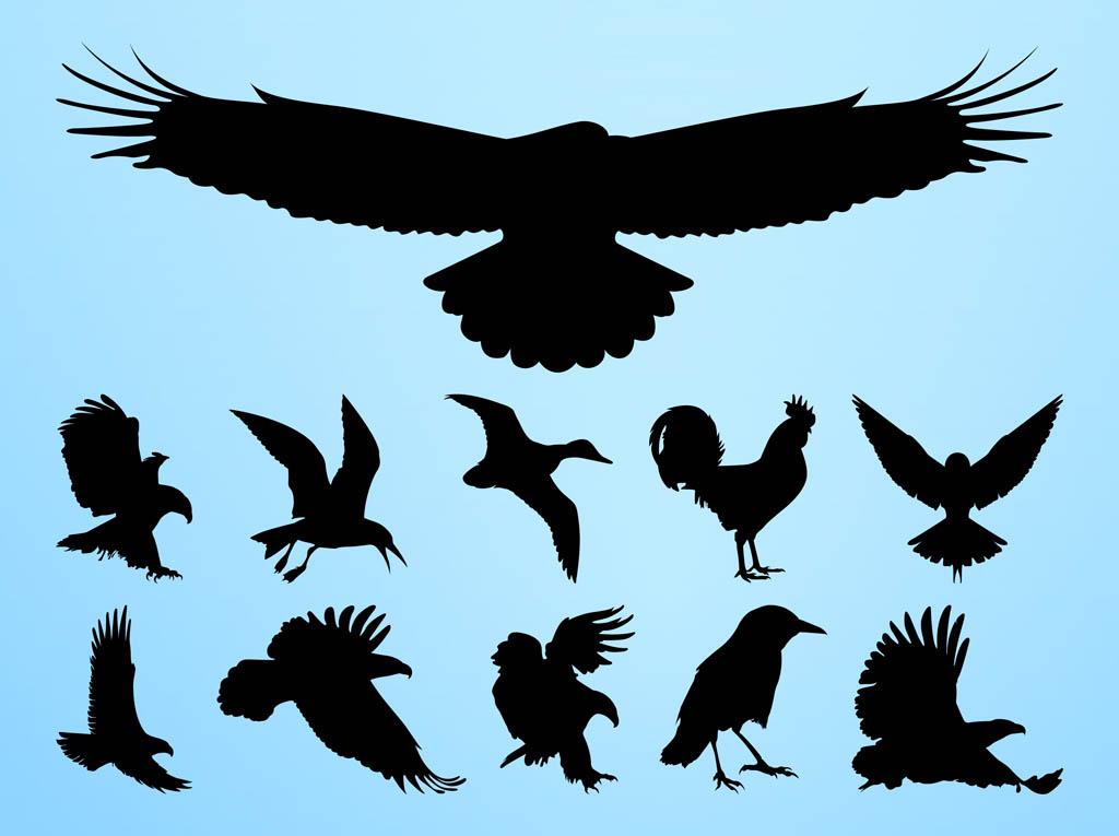 1024x765 Birds Silhouettes Graphics Vector Art Graphics