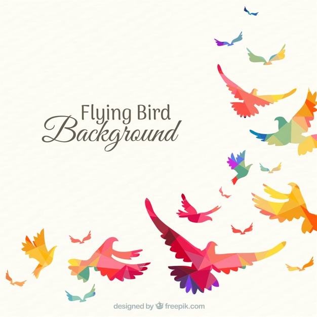 626x626 Flying Bird Vectors, Photos And Free Download