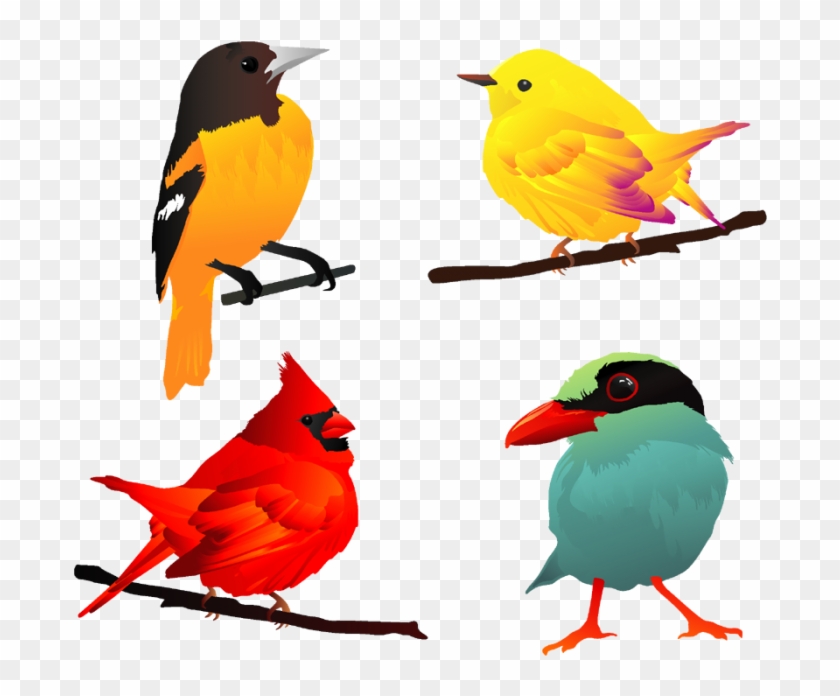 840x696 Free Bird Vector