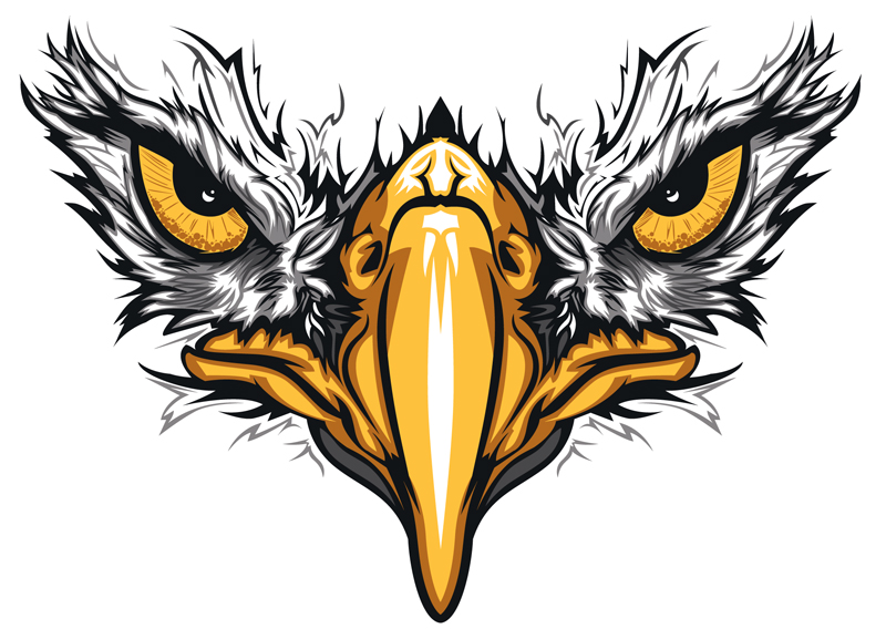 800x568 Graphic Design Sample Work Idea Custom Solutions