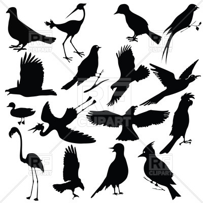 400x400 Silhouettes Of Birds Vector Image Of Plants And Animals