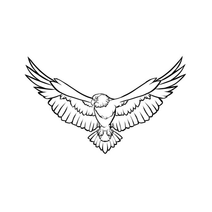 690x690 Animal Bird Eagle Graphics Dxf Png