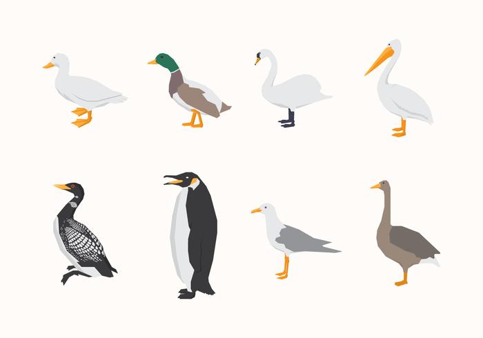 700x490 Vectors Of Birds Free Vector Graphics Everypixel