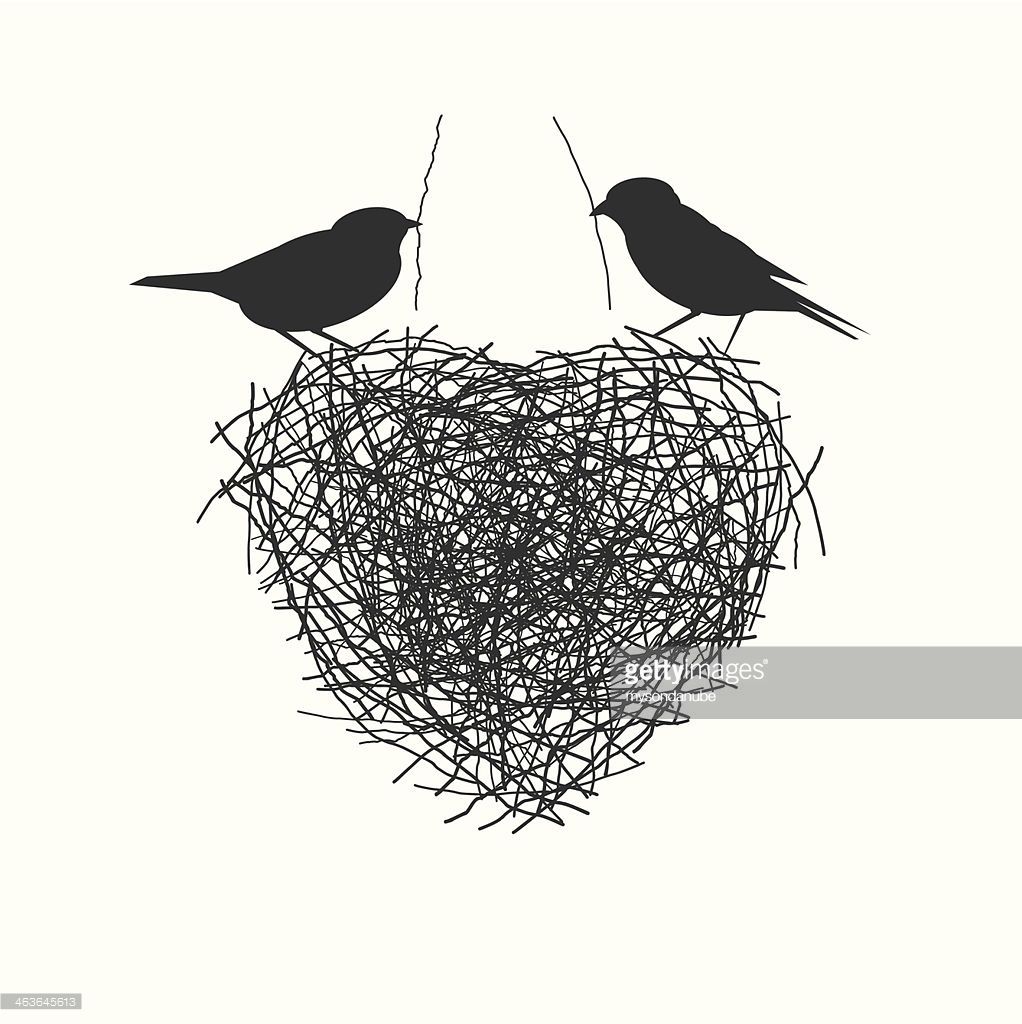 1022x1024 Two Birds Making Heir Nest