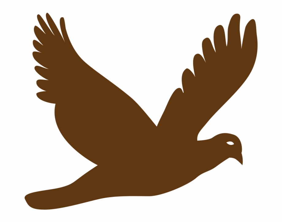 920x726 Bird Vector Png