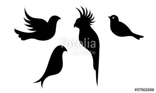 Birds Vector Silhouette Stock Image And Royalty Free Vector 500x300 Birds Vector Silhouette Stock Image And Royalty Free Vector