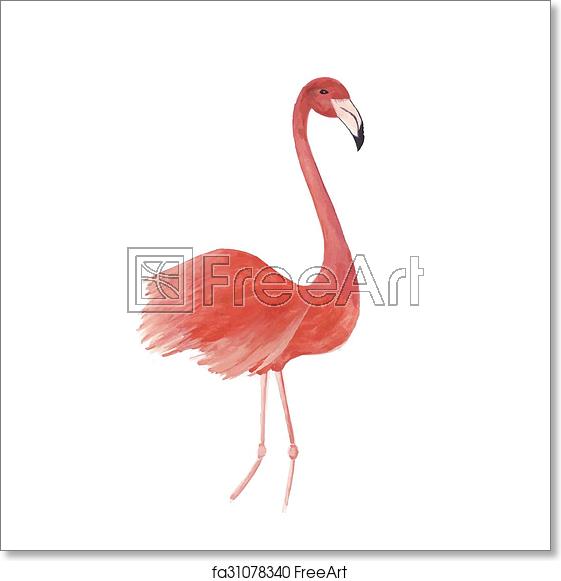 Free Art Print Of Flamingo Watercolor Isolated Bird Vector 561x581 Free Art Print Of Flamingo Watercolor Isolated Bird Vector
