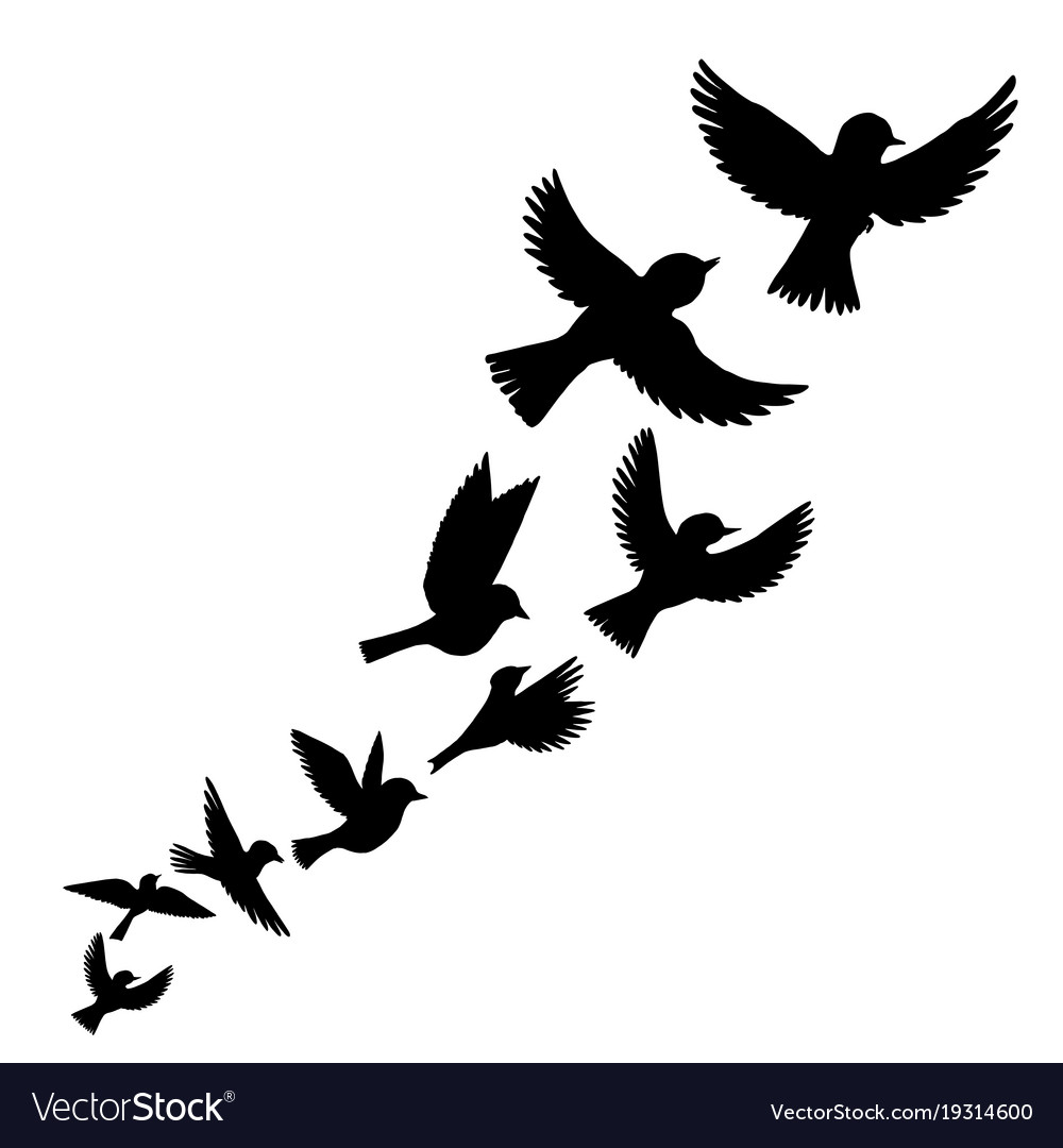 Huge Collection Of 'free Bird Silhouette Vector' Download More 1000x1080 Huge Collection Of 'free Bird Silhouette Vector' Download More