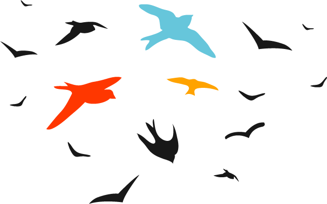 Bird Vector Set Free Vectors Ui Download 646x404 Bird Vector Set Free Vectors Ui Download