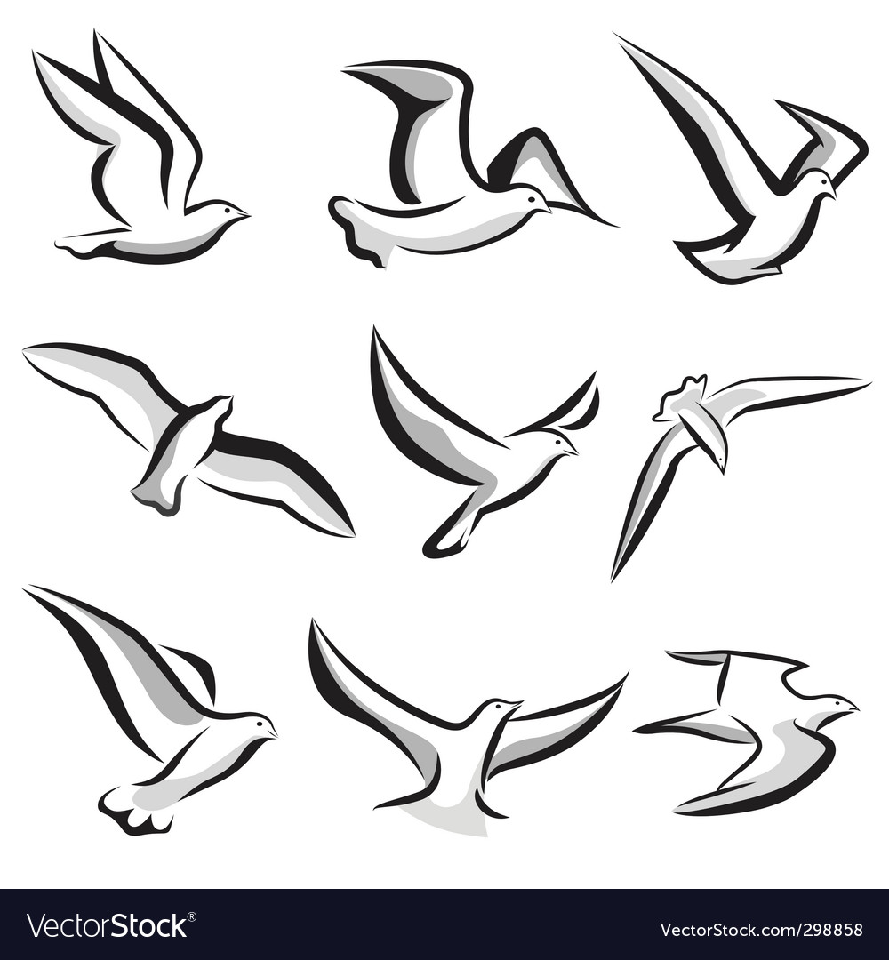 Bird Vector 1000x1080 Bird Vector