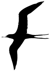 Bird Vector Image