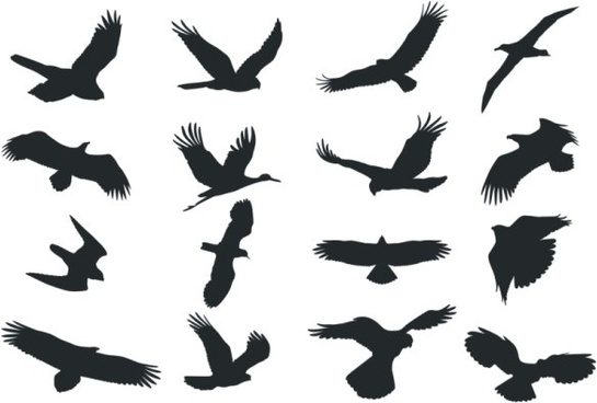 545x368 Bird Free Vector Download