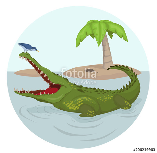500x488 Crocodile And A Bird Vector Cartoon Character Illustrations