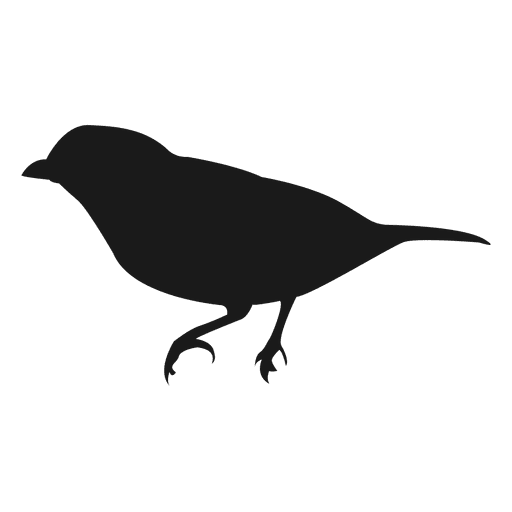 512x512 Bird Silhouette