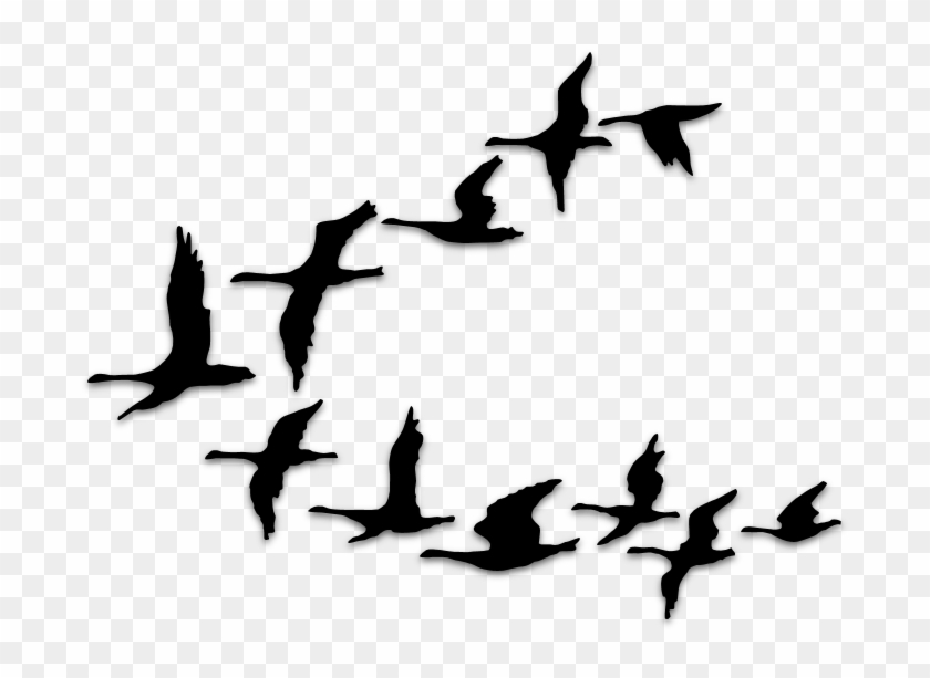 840x613 Birds Silhouettes Art Islamic Graphics