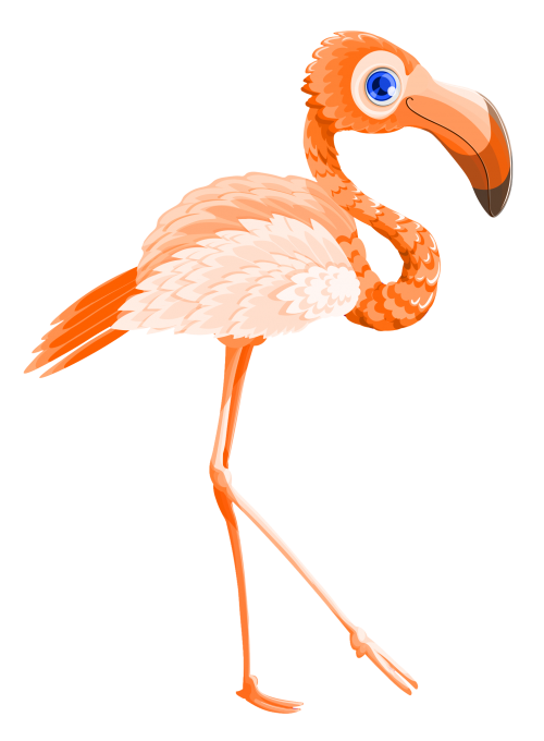 500x680 Flamingo Bird Vector Png Transparent Image