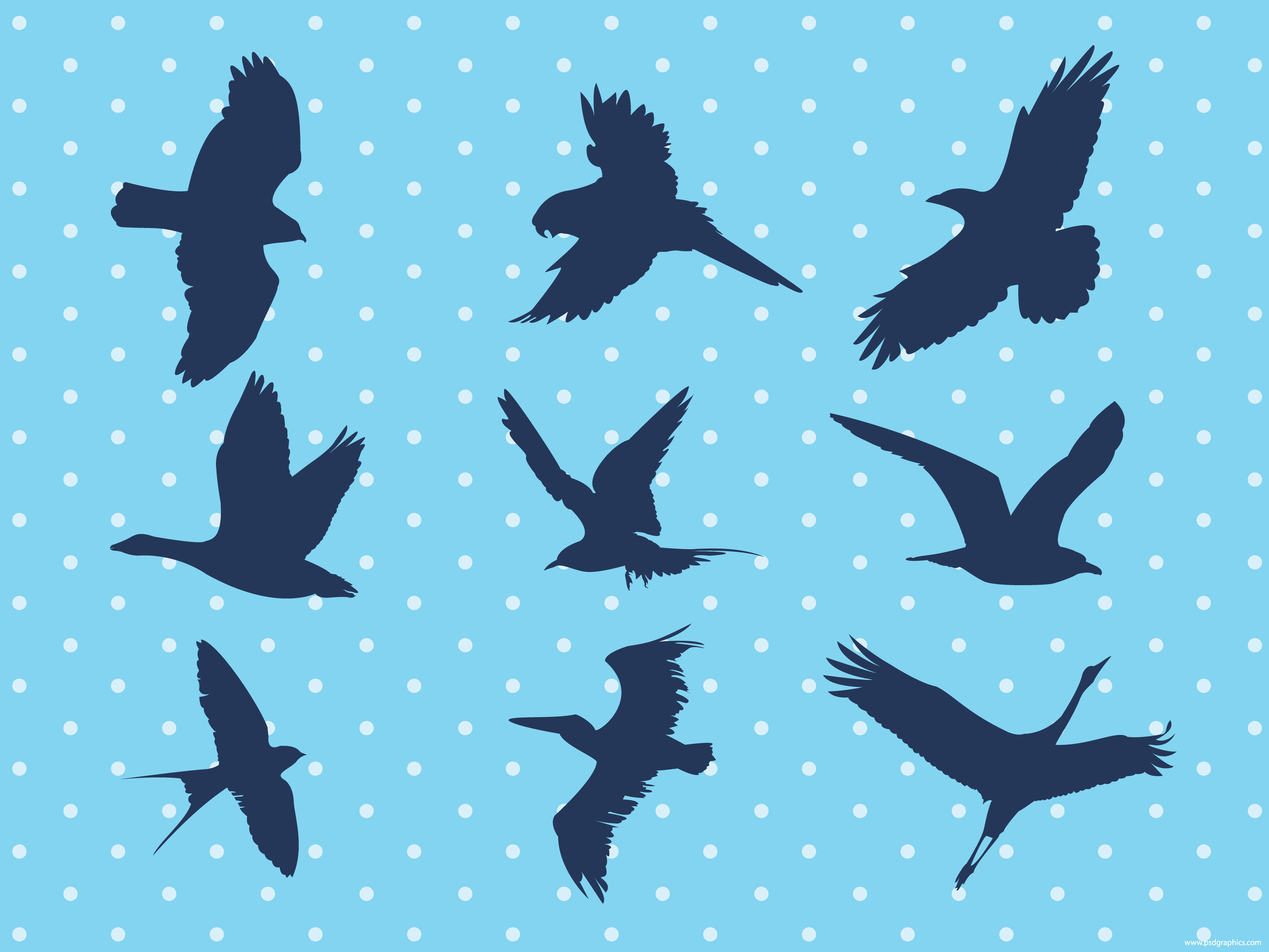 5000x3750 Flying Birds Vector