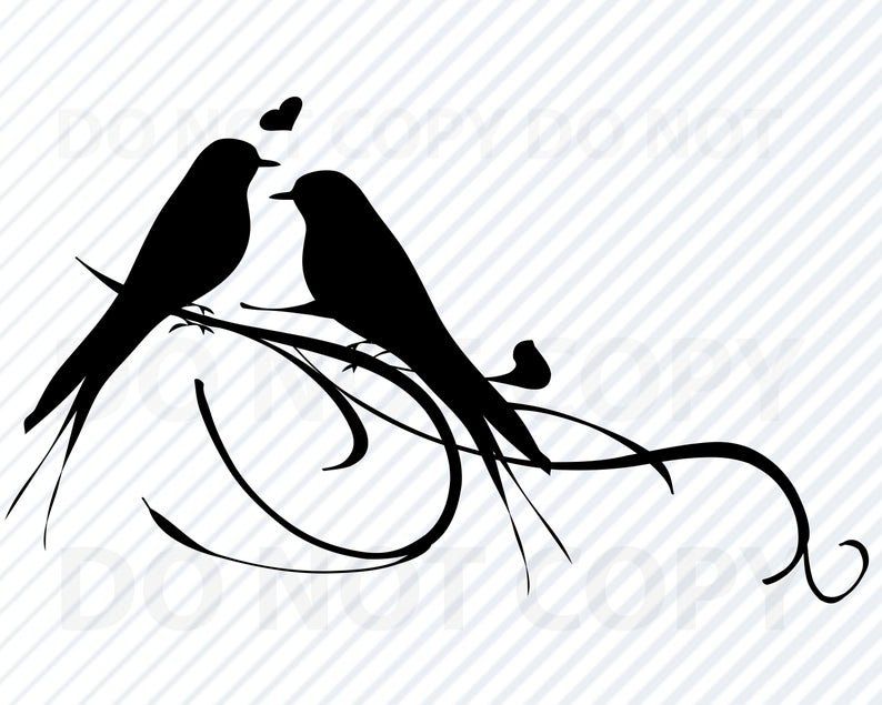54 Lovebirds vector images at Vectorified.com