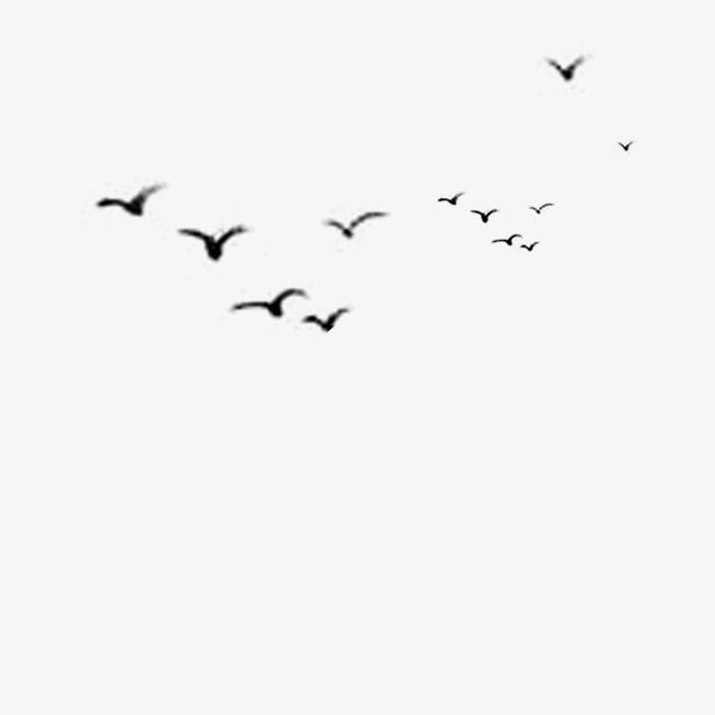 650x650 Bird, Black, Bird Vector Png Transparent Clipart Image