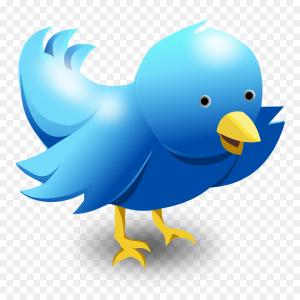 300x300 Png Logo Twitter Bird Vector Newwaysys