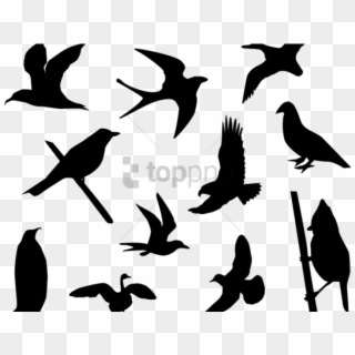 320x320 Bird Silhouette Png Images, Free Transparent Image Download