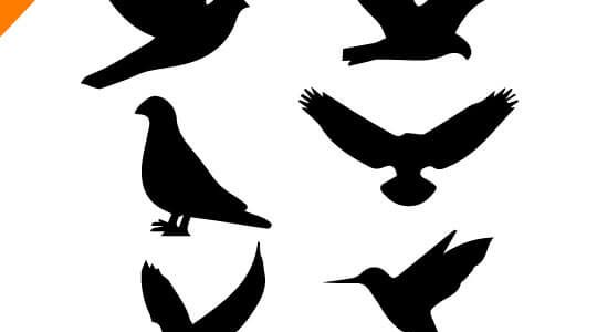 540x300 Bird Vector Png Images In Collection