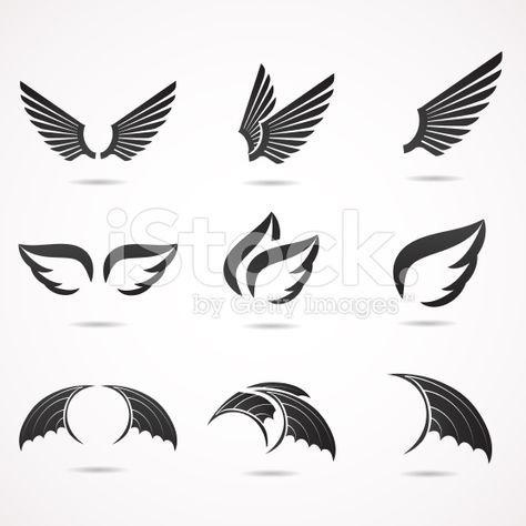 Bird Wings Vector
