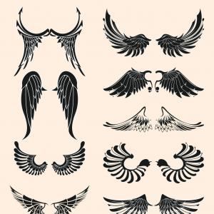 Hand Drawn Vintage Angel Bird Wings Vectors Cqrecords 300x300 Hand Drawn Vintage Angel Bird Wings Vectors Cqrecords