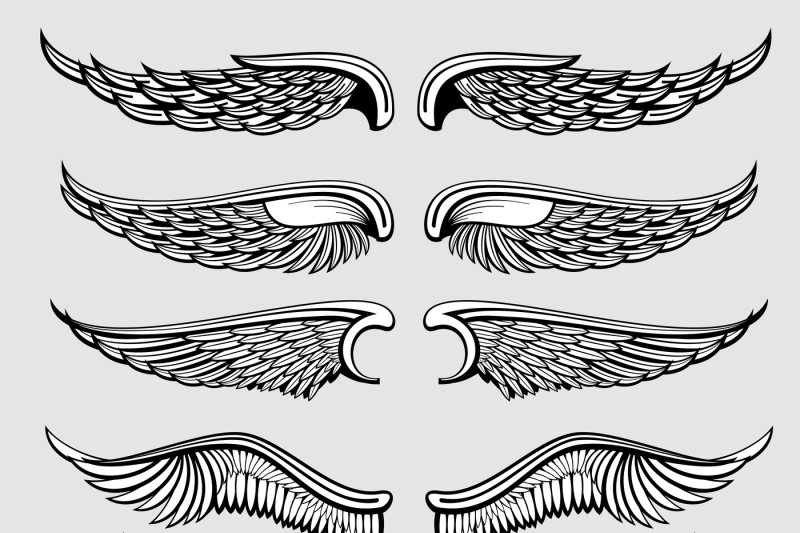 Heraldic Bird, Angel Wings Vector Set 800x533 Heraldic Bird, Angel Wings Vector Set