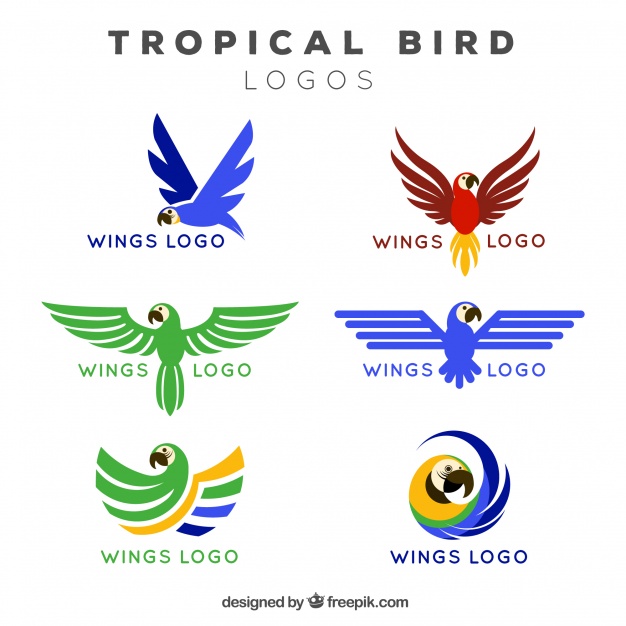 Logos Of Tropical Bird Wings Vector Free Download 626x626 Logos Of Tropical Bird Wings Vector Free Download