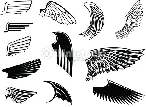 Set Of Bird Wings For Heraldry Design Wings Bird Wings, Wings 484x355 Set Of Bird Wings For Heraldry Design Wings Bird Wings, Wings