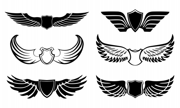 Wings Vectors, Photos And Free Download 626x375 Wings Vectors, Photos And Free Download