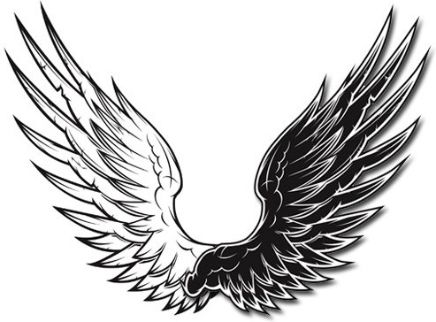 Wings Free Vector Download 493x364 Wings Free Vector Download