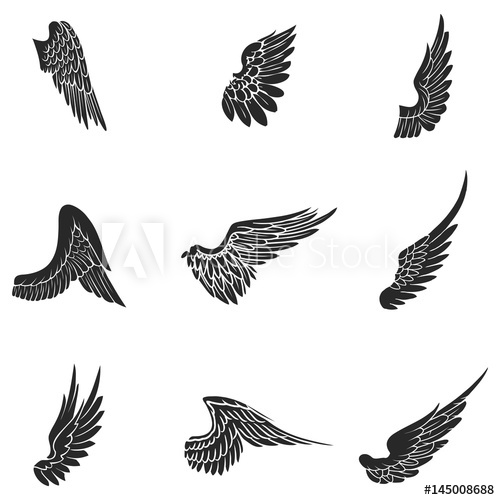 Wings Vector Icons Set Wing Set, Icon Wing, Feather Wing Bird 500x500 Wings Vector Icons Set Wing Set, Icon Wing, Feather Wing Bird