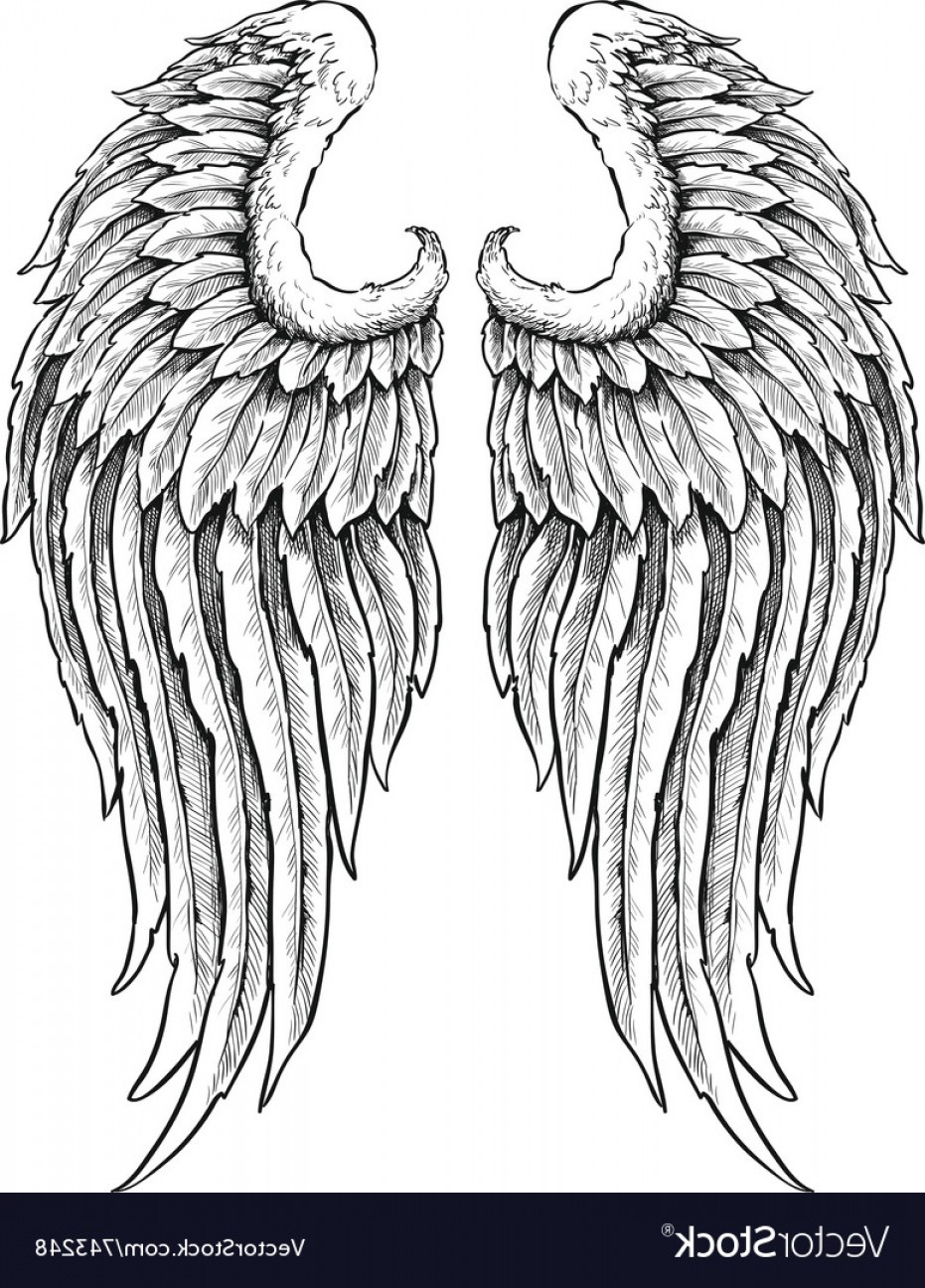 Hand Drawn Angel Wings Vector Cultracing 931x1296 Hand Drawn Angel Wings Vector Cultracing