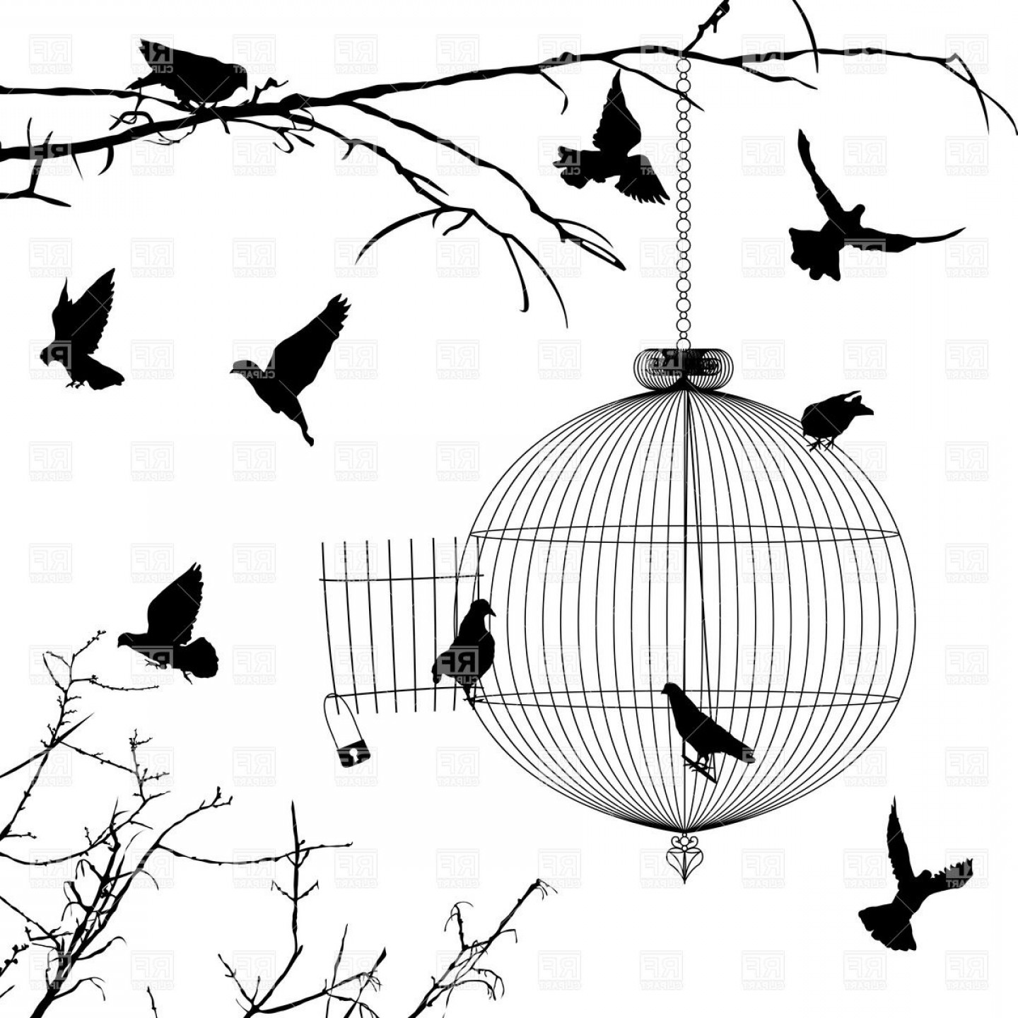 1440x1440 Old Round Birdcage And Silhouettes Of Birds On Branches Vector