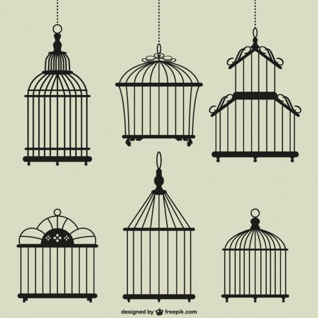 626x626 Vintage Birdcages Free Vector Birdcage Drawing, Free