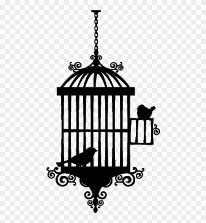 840x911 Birdcage